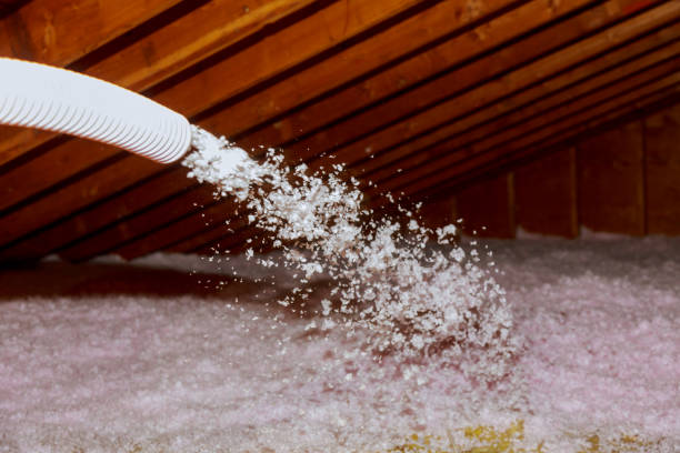 Best DIY Insulation Kits and Guidance in Edwardsville, KS