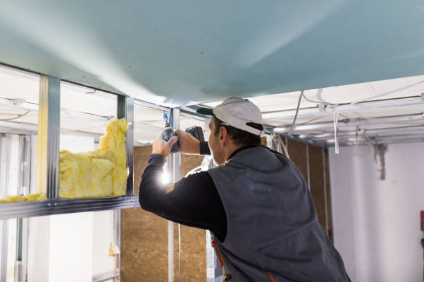 Best Residential Insulation in Edwardsville, KS