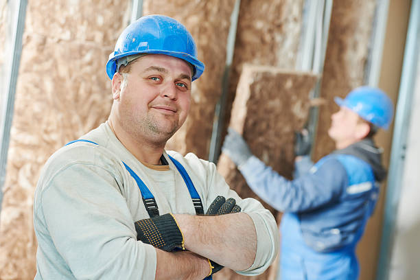 Best Blown-in Insulation in Edwardsville, KS