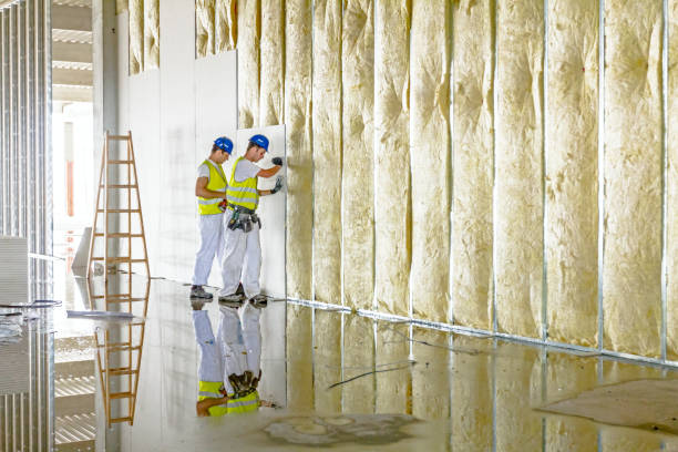 Best Energy Efficiency Insulation in Edwardsville, KS